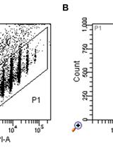 Structured Illumination Microscopy (SIM) and Photoactivated Localization Microscopy (PALM) to Analyze the Abundance and Distribution of RNA Polymerase II Molecules on Flow-sorted Arabidopsis Nuclei