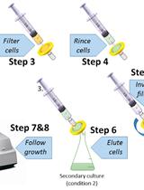 Calculation of Microorganism Lag Times as a Measure of Adaptative Capability  between Different Growth Conditions 