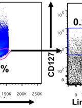 In vitro Differentiation of Murine Innate Lymphoid Cells from Common Lymphoid Progenitor Cells