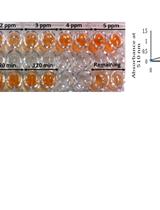 Rust Removal Experiments