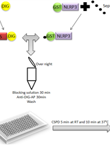 Liquid Luminescent DNA-precipitation Assay