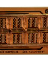 Study of Epithelium Barrier Functions by Real-time TER Measurement