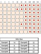 Hemagglutination Inhibition (HI) Assay of Influenza Viruses with Monoclonal Antibodies