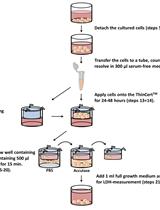In vitro Tumor Cell Migration Assay Using ThinCertsTM (Transwells)