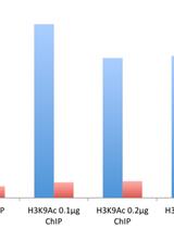 Micro-chromatin Immunoprecipitation (μChIP) Protocol for Real-time PCR Analysis of a Limited Amount of Cells