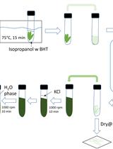 Extraction and Profiling of Plant Polar Glycerol Lipids