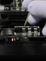 Protocol for Microfluidic System to Automate the Preparation and Fractionation of the Nucleic Acids in the Cytoplasm Versus Nuclei of Single Cells