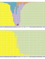 Identification of Natural Hybrids by SSR Markers in Mussaenda