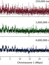 Chromosome Dosage Analysis in Plants Using Whole Genome Sequencing