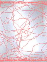 Locomotion Activity Measurement in an Open Field for Mice