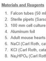 Isolation and Primary Culture of Adult Mouse Cardiac Fibroblasts