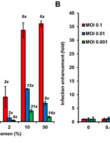 Reporter Assay for Semen-mediated Enhancement of HIV-1 Infection 