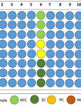 A Bioassay Protocol for Quorum Sensing Studies Using <em>Vibrio campbellii</em>