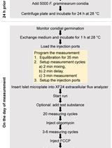 A Highly Efficient Method for Measuring Oxygen Consumption Rate in <em>Fusarium graminearum</em>