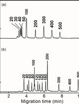 毛细管电泳法分析羟乙基纤维素溶液中的dsDNA、 dsRNA 和 siRNA