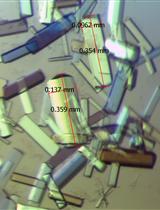 Protein Expression, Purification and Crystallization of the Sxl-Unr-<em>msl2</em> Ribonucleoprotein Complex