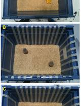 Object-context Recognition Memory Test for Mice