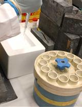 副球孢子菌属的59Fe摄取实验