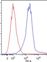 Killer Cell Ig-like Receptors (KIR)-Binding Assay for Tumor Cells