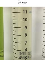 Cell Wall-bound p-Coumaric and Ferulic Acid Analysis