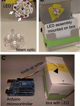 人工光基因刺激线虫触觉神经实验