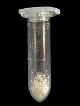 Rapid Determination of Cellulose, Neutral Sugars, and Uronic Acids from Plant Cell Walls by One-step Two-step Hydrolysis and HPAEC-PAD