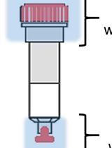 Cell Surface Protein Detection to Assess Receptor Internalization