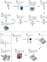 Metabolite Profiling of Mature <em>Arabidopsis thaliana</em> Seeds Using Gas Chromatography-Mass Spectrometry (GC-MS)