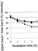 PNGase Sensitivity Assay to Study the Folding Status of Proteins