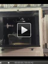 音源性应激试验(大鼠)