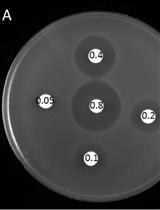 Halo Assay for Toxic Peptides and Other Compounds in Microorganisms