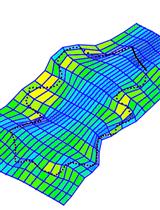 使用薄板样条分析观察拟南芥铺垫表皮细胞的差异生长