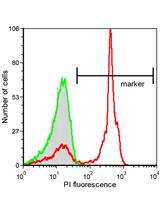 Single Cell Flow Cytometry Assay for Peptide Uptake by Bacteria
