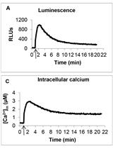 Measurement of Intracellular Calcium Concentration in Pseudomonas aeruginosa
