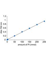 拟南芥叶片质膜上H+-ATP酶的ATP水解活性测定