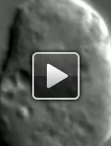 Isolation of Latex Bead Phagosomes from Dictyostelium for in vitro Functional Assays