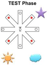 采用旋臂迷宫的延迟空间Win-shift试验