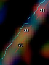 Analysis of Myosin II Minifilament Orientation at Epithelial Zonula Adherens