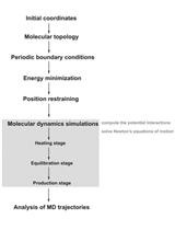 Protocol for Molecular Dynamics Simulations of Proteins