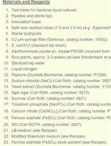 Bacterial Growth Inhibition Assay for Xanthomonas oryzae pv. oryzae or Escherichia coli K12 Grown together with Plant Leaf Extracts