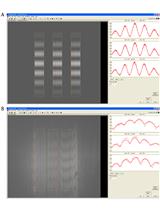 Examination of the Interaction between a Membrane Active Peptide and Artificial Bilayers by Dual Polarisation Interferometry