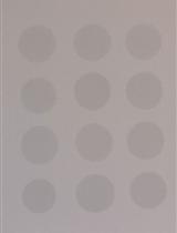 Dot Blot Analysis of N6-methyladenosine RNA Modification Levels