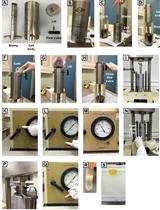 Protein Expression Protocol for an Adenylate Cyclase Anchored by a Vibrio Quorum Sensing Receptor