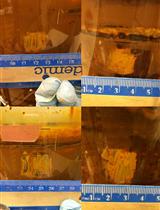 Enriching Acidophilic Fe(II)-oxidizing Bacteria in No-flow, Fed-batch Systems