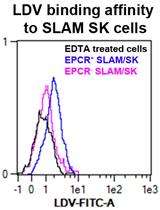 VLA-4 Affinity Assay for Murine Bone Marrow-derived Hematopoietic Stem Cells
