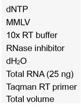 miRNA Characterization from the Extracellular Vesicles