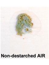 采用乙酰溴可溶性木质素（ABSL）测定法定量植物生物量中的总木质素