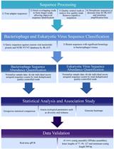 Next-generation Sequencing of the DNA Virome from Fecal Samples