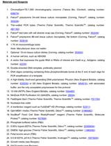 利用CRISPR/Cas9敲入平端连接