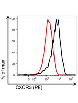 Mouse CD8+ T Cell Migration in vitro and CXCR3 Internalization Assays